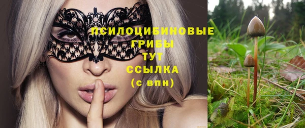 spice Армянск