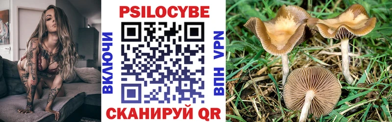 где купить наркотик  Полесск  Галлюциногенные грибы ЛСД 