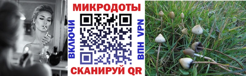 Псилоцибиновые грибы MAGIC MUSHROOMS Полесск